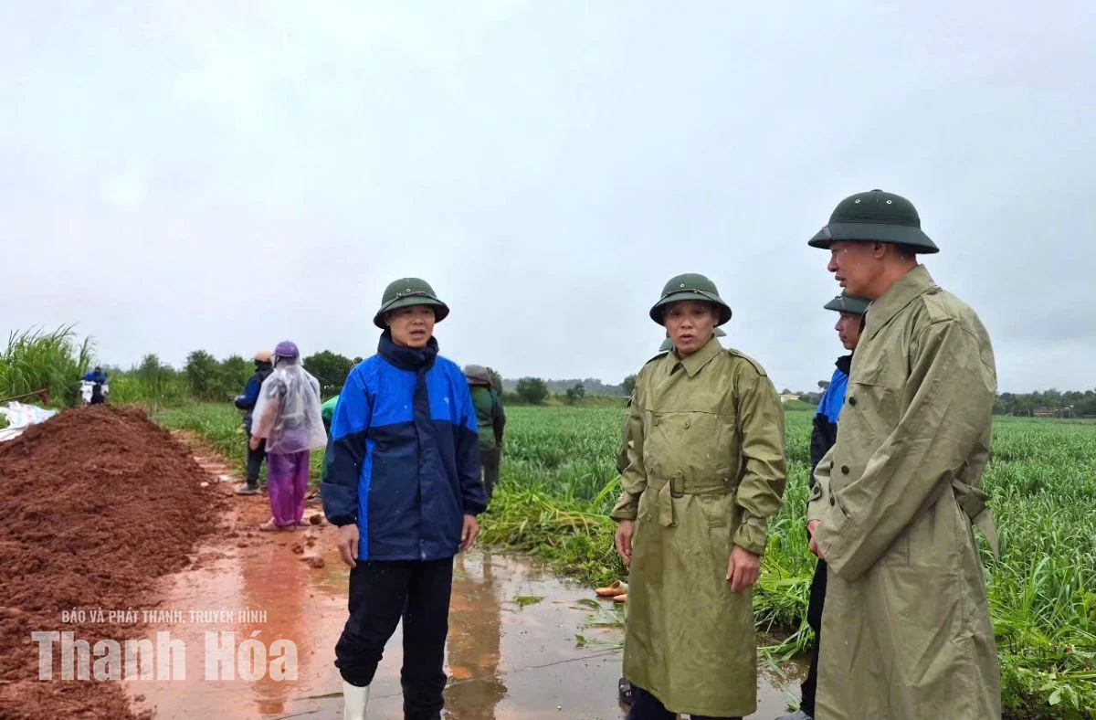 Phó Bí thư Tỉnh ủy Trịnh Tuấn Sinh kiểm tra công tác ứng phó mưa lũ ven sông Cầu Chày