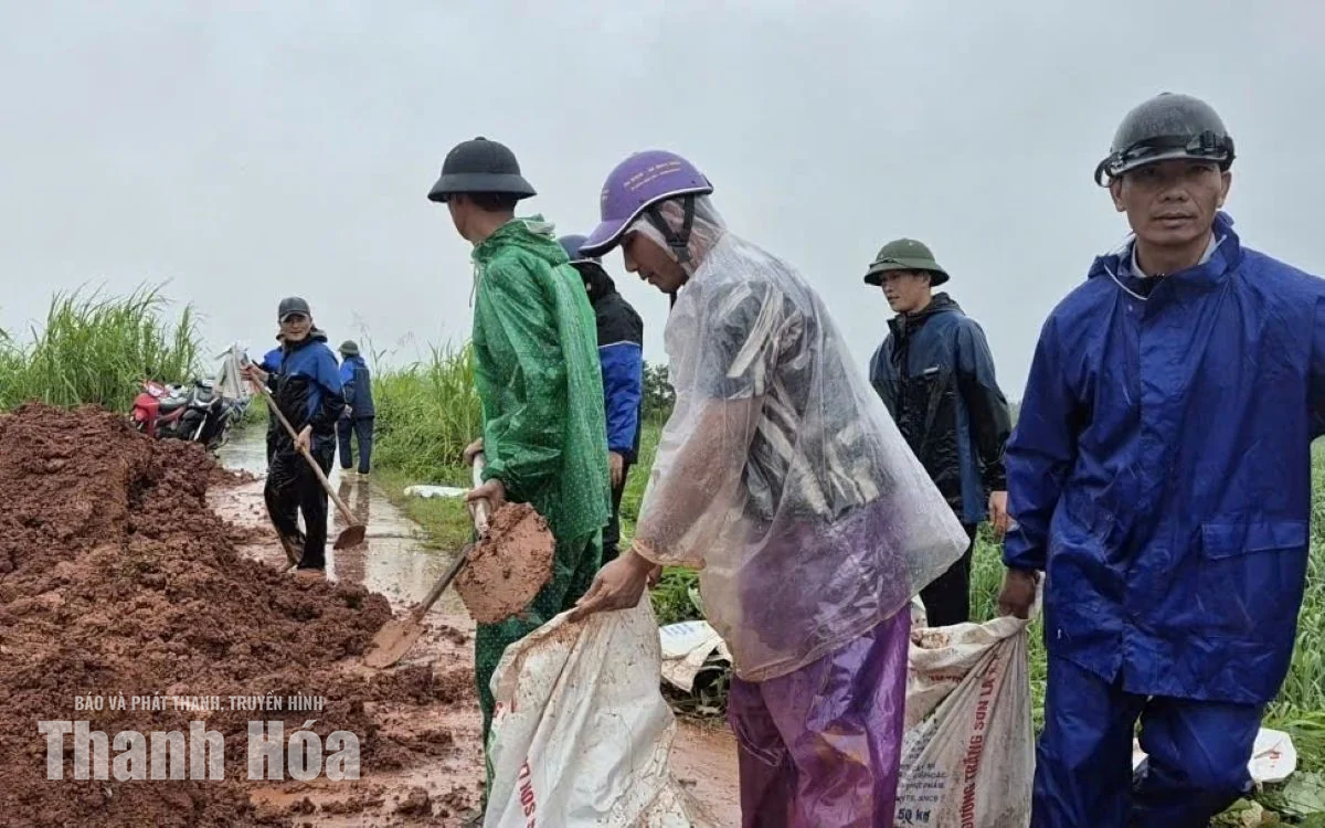 Phó Bí thư Tỉnh ủy Trịnh Tuấn Sinh kiểm tra công tác ứng phó mưa lũ ven sông Cầu Chày