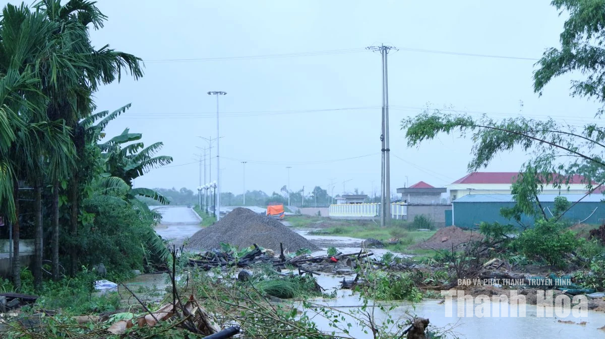 Ra quân tháo dỡ công trình, bàn giao mặt bằng tuyến giao thông thuộc Tiểu dự án đô thị Tĩnh Gia
