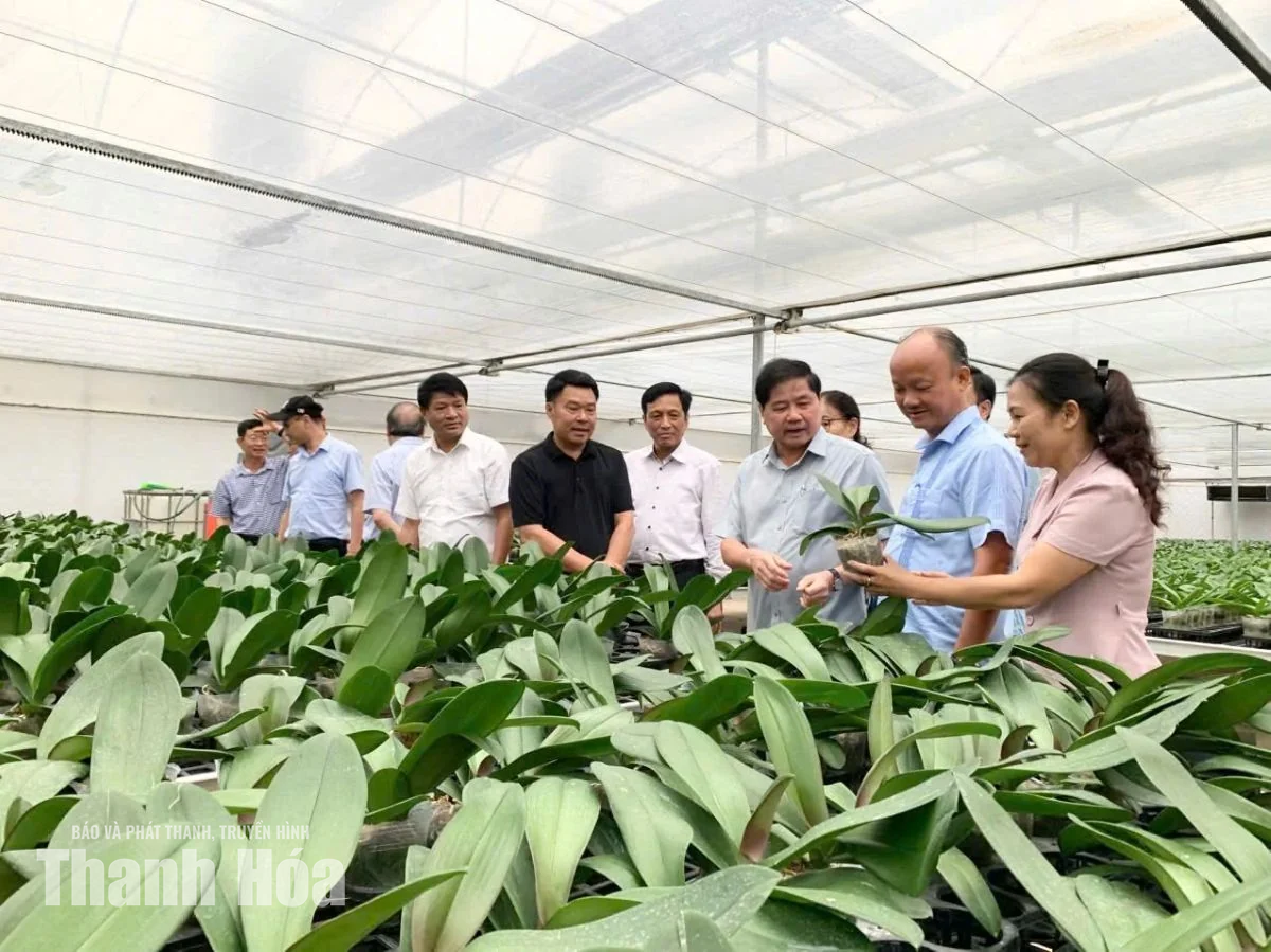 Đoàn công tác Hội Làm vườn Việt Nam làm việc tại Thanh Hóa