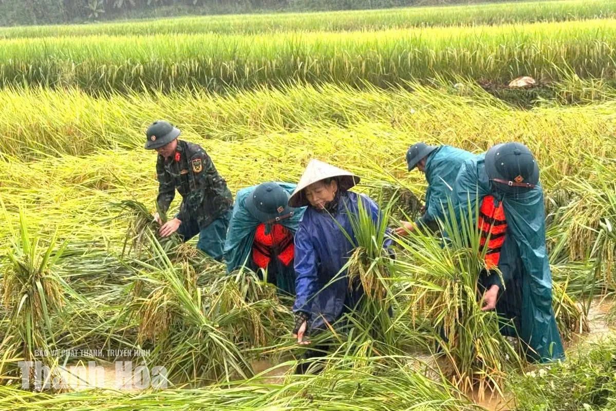 Công điện của Ban Thường vụ Tỉnh ủy về việc tập trung lãnh đạo, chỉ đạo công tác ứng phó với mưa, lũ, ngập lụt, sạt lở đất trên địa bàn tỉnh