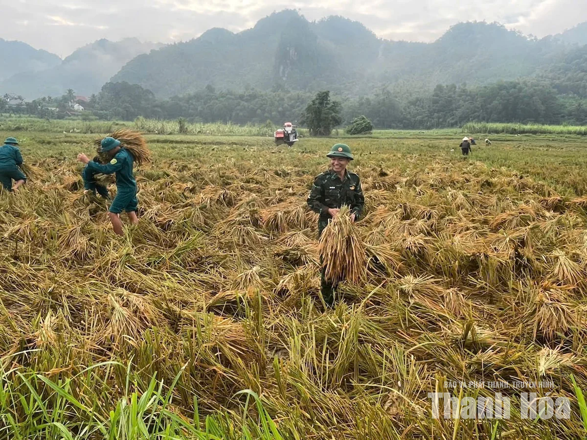 Xã Điền Lư huy động lực lượng hỗ trợ nhân dân thu hoạch lúa sau mưa lũ