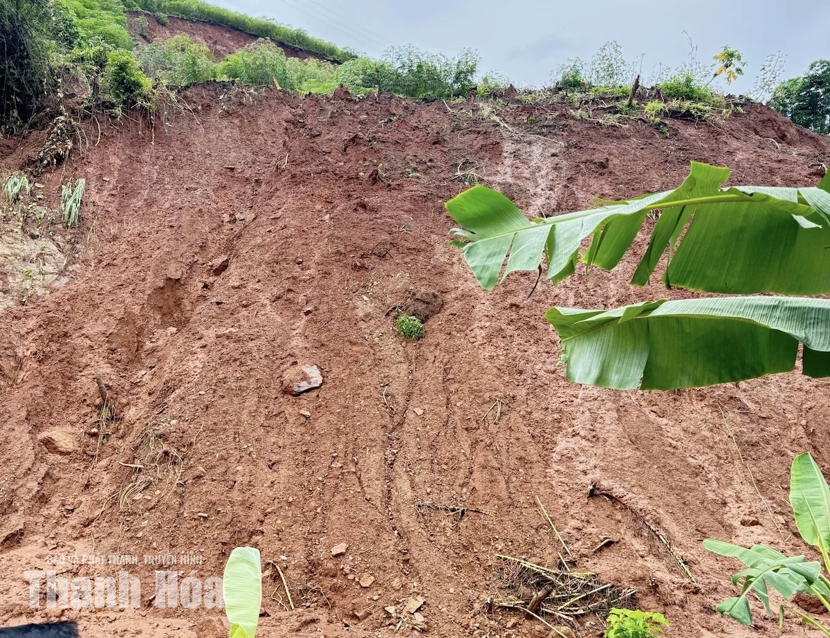 Khẩn trương xây dựng phương án thông xe trên tuyến đường từ xã Mường Lát đi bản Chim, xã Nhi Sơn