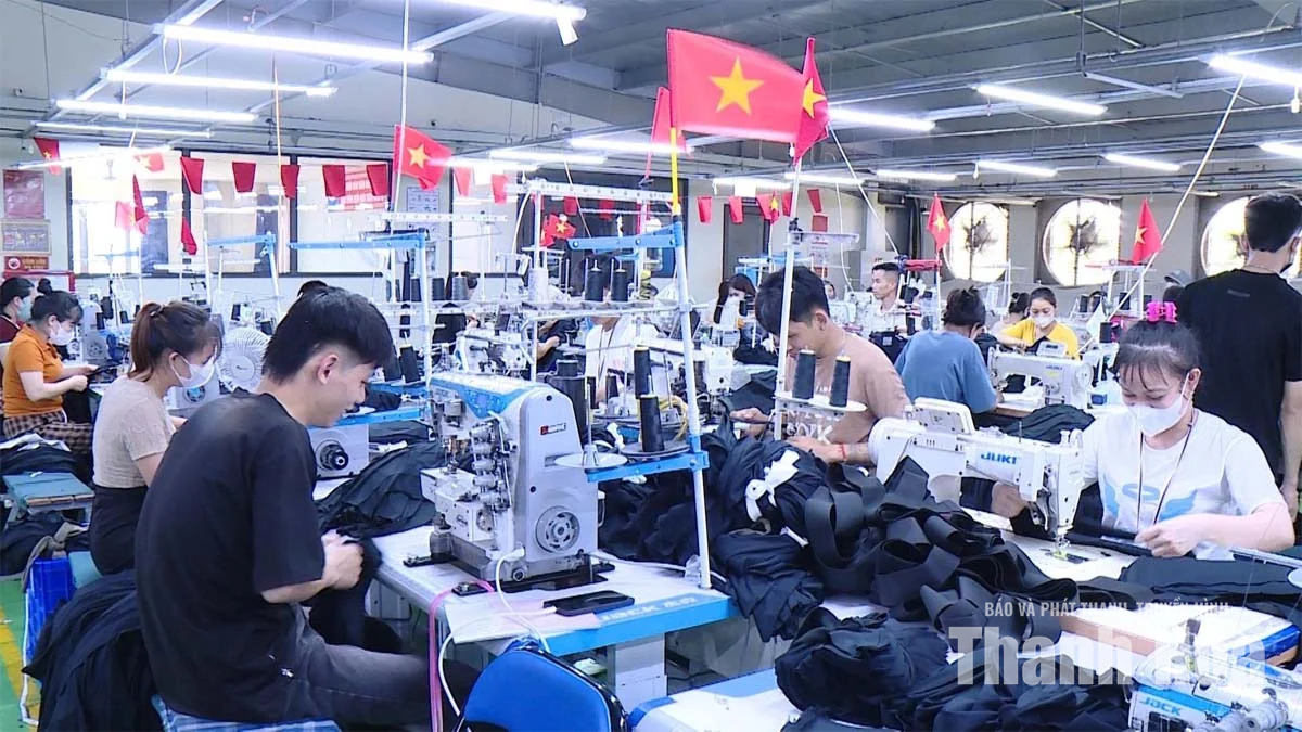 Sử dụng năng lượng hiệu quả,&nbsp;tạo động lực cho chuyển đổi xanh