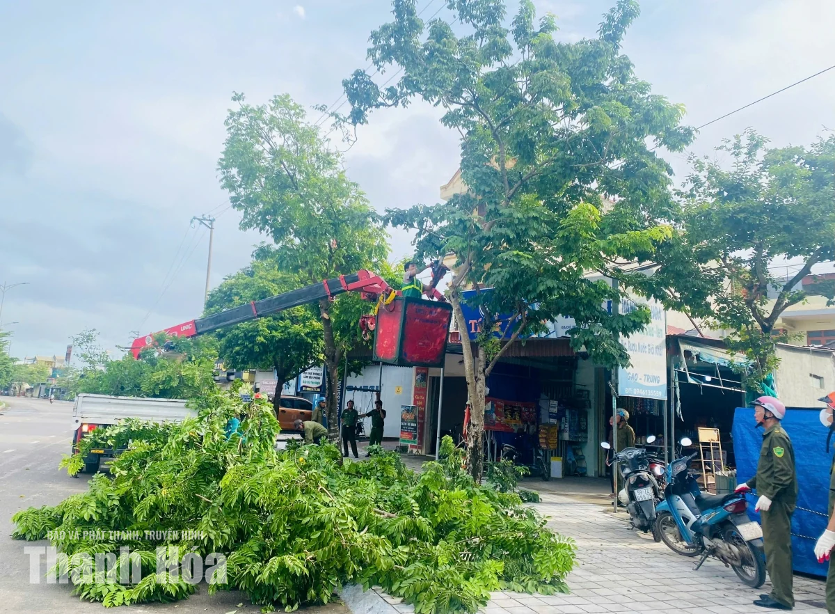 Phường Nghi Sơn ra quân dọn vệ sinh môi trường và thiết lập trật tự công cộng, trật tự đô thị