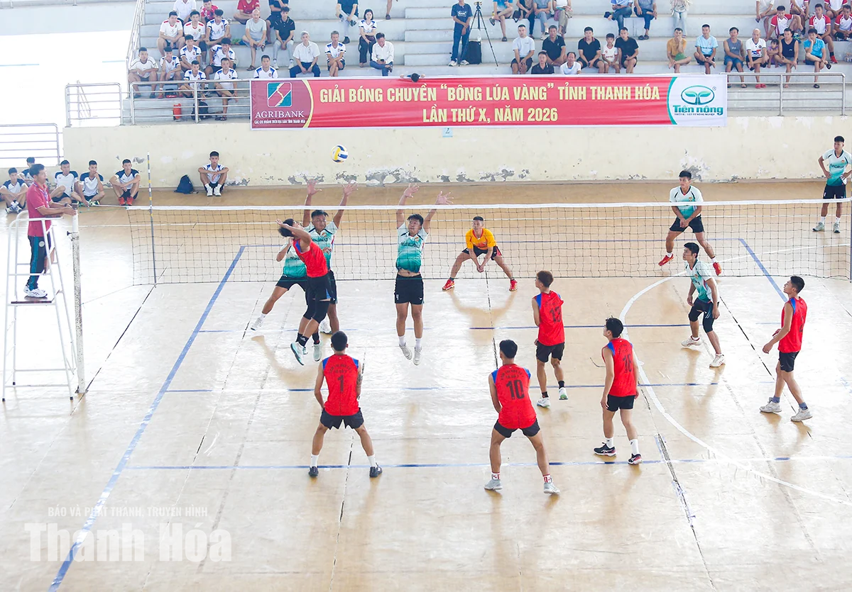 Khai mạc Giải Bóng chuyền “Bông lúa vàng” tỉnh Thanh Hóa lần thứ X, năm 2026