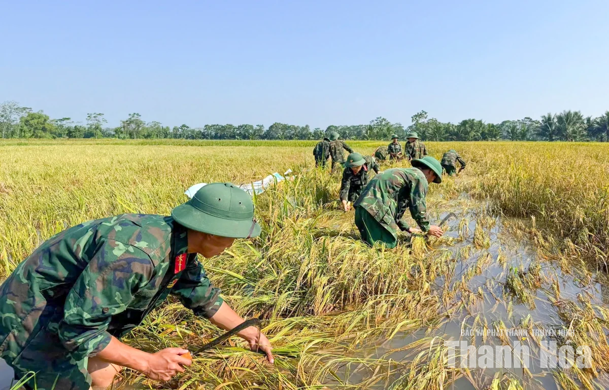 Tích cực hỗ trợ người dân vùng lũ Kim Tân
