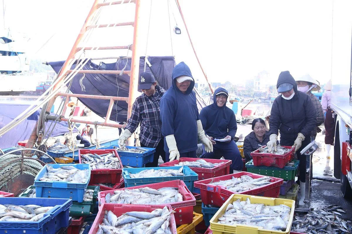 Tìm lời giải cho bài toán thiếu lao động nghề biển