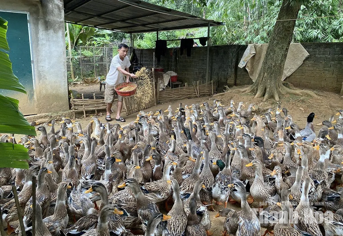 Cổ Lũng khai thác lợi thế địa phương, phát triển các mô hình kinh tế