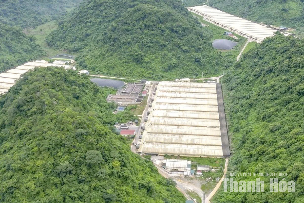 Những khoảng trống phía sau trang trại quy mô lớn