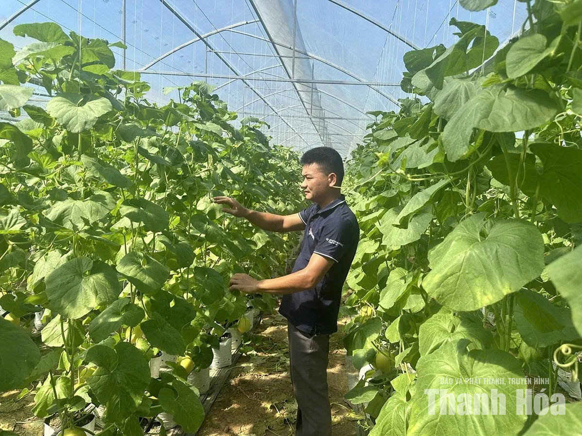 Doanh nhân trẻ với phong trào&nbsp;khởi nghiệp đổi mới sáng tạo