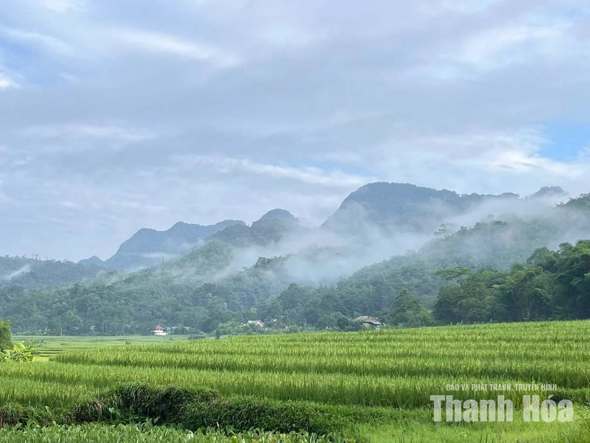 Khi “văn hóa tre luồng” trở thành sản phẩm du lịch