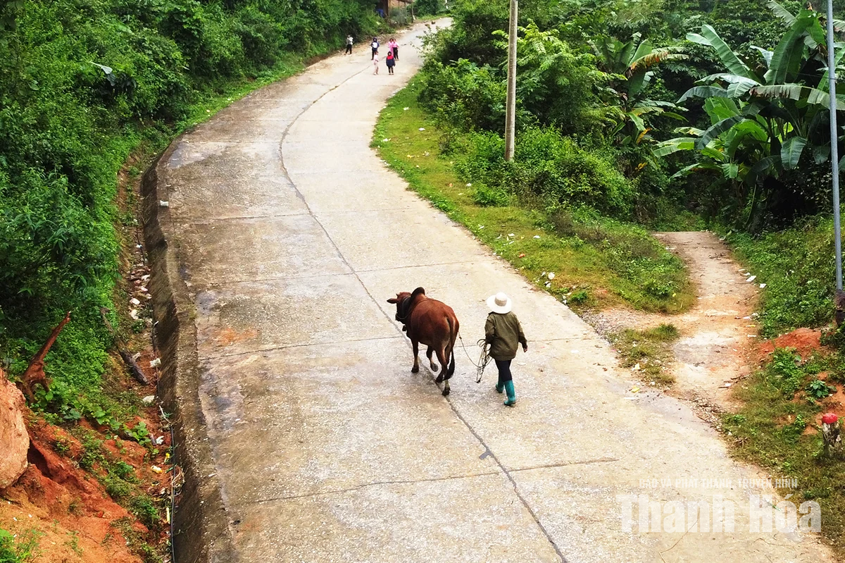 Chờ an cư trên dốc Pù Đứa