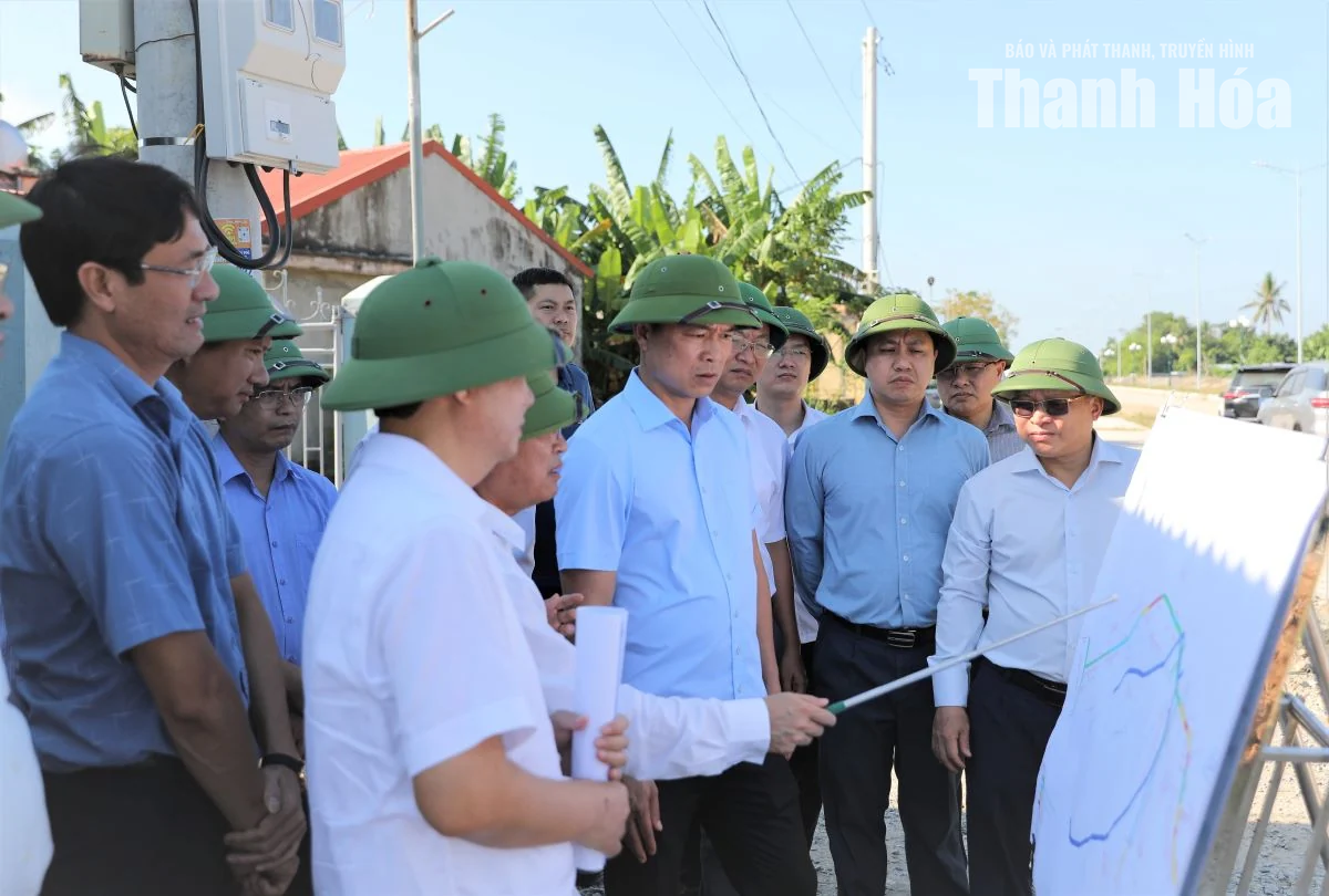 Tập trung đẩy nhanh tiến độ các dự án do Ban Quản lý Khu kinh tế Nghi Sơn và các Khu công nghiệp tỉnh làm chủ đầu tư