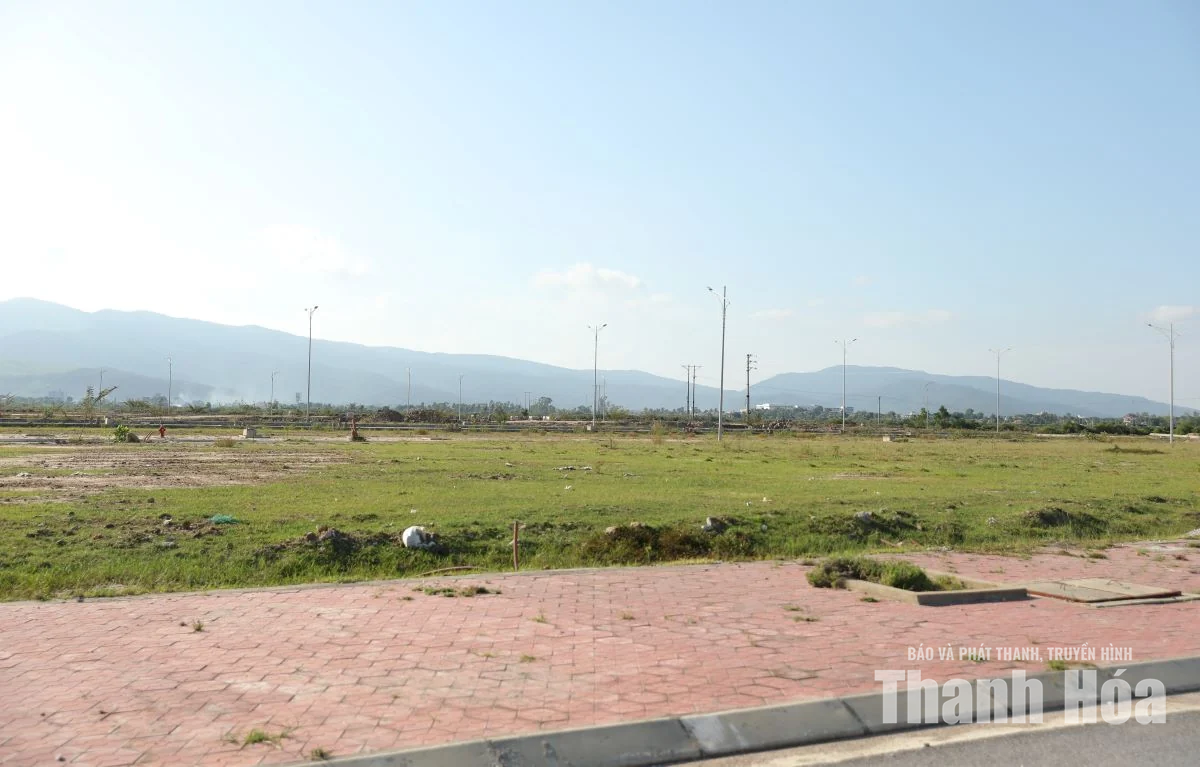 Tập trung đẩy nhanh tiến độ các dự án do Ban Quản lý Khu kinh tế Nghi Sơn và các Khu công nghiệp tỉnh làm chủ đầu tư
