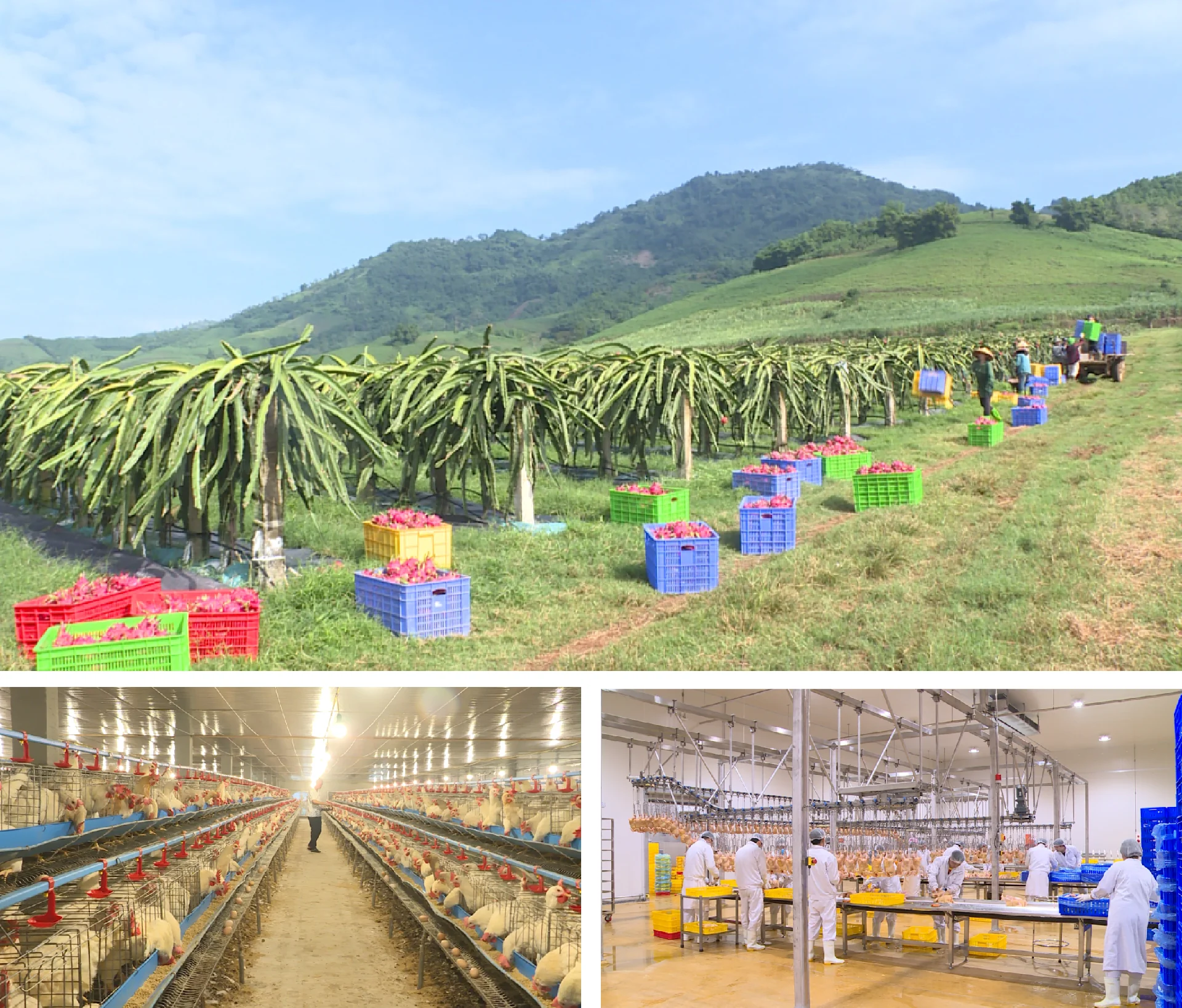 Toàn cảnh bức tranh tăng trưởng GRDP tỉnh Thanh Hóa năm 2026