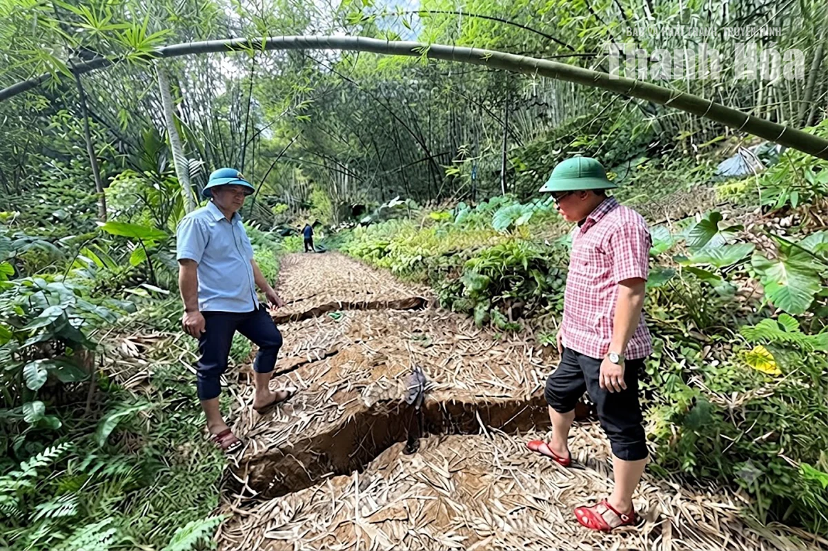 Chủ động bảo đảm an toàn cho người dân sau sạt lở Na Lo, Na Niêng