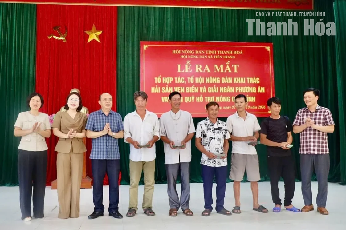 Ra mắt Tổ hợp tác, Tổ hội Nông dân khai thác hải sản ven biển xã Tiên Trang