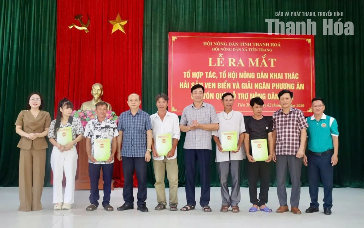 Ra mắt Tổ hợp tác, Tổ hội Nông dân khai thác hải sản ven biển xã Tiên Trang