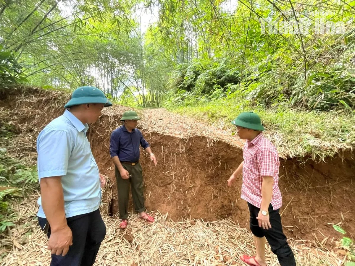 Công bố tình huống khẩn cấp sạt lở đất tại khu đồi Na Niêng và Na Lo, xã Đồng Lương