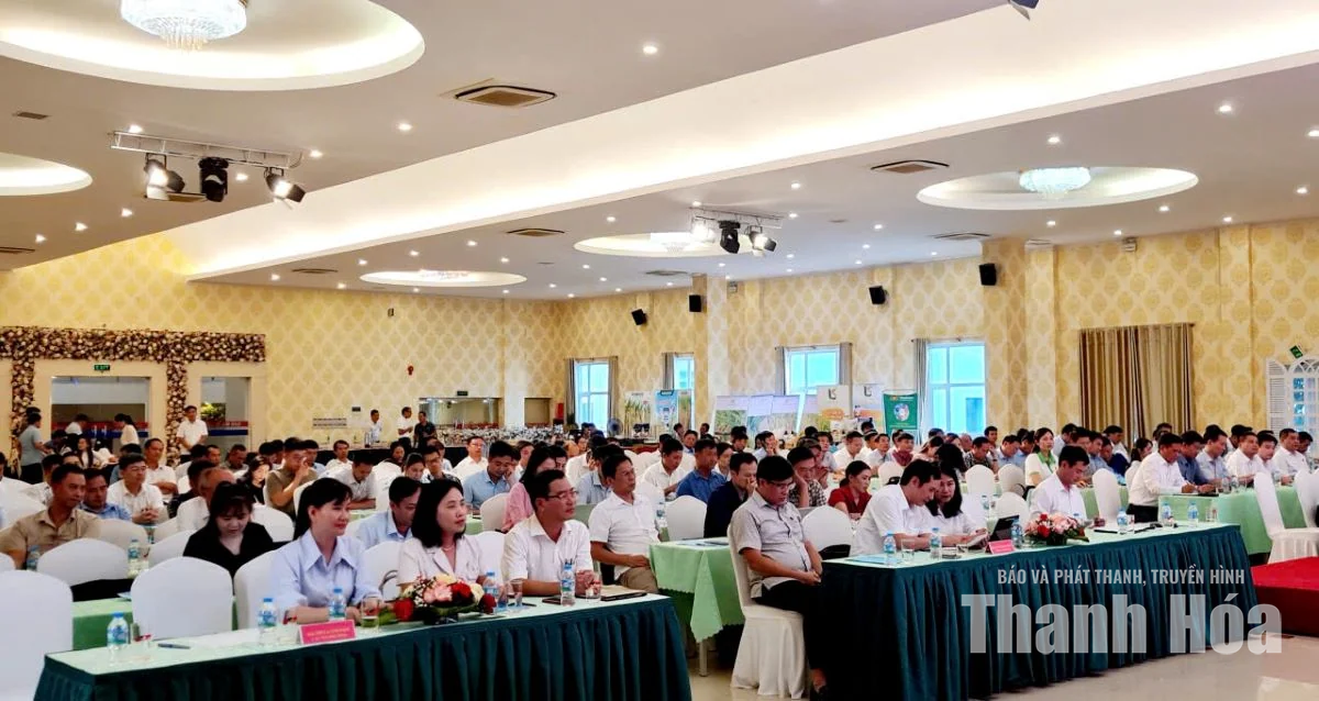 Thanh Hóa bàn giải pháp phát triển nông sản chủ lực hướng tới xuất khẩu