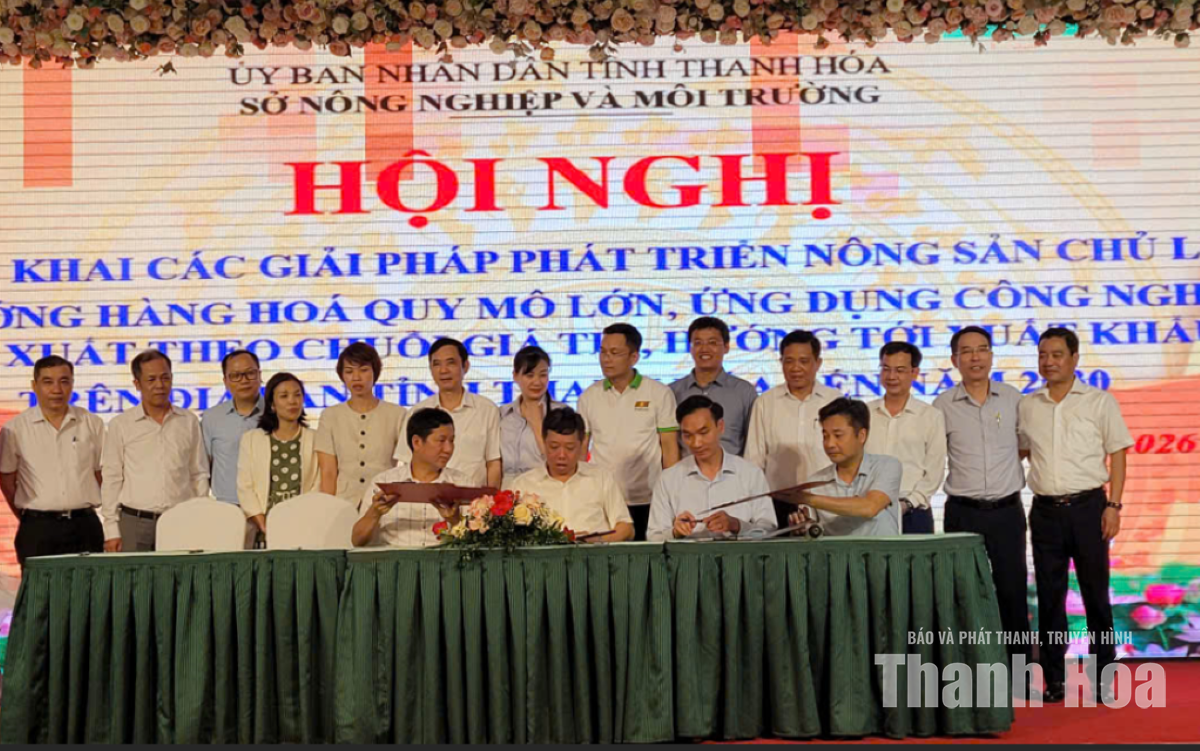 Thanh Hóa bàn giải pháp phát triển nông sản chủ lực hướng tới xuất khẩu