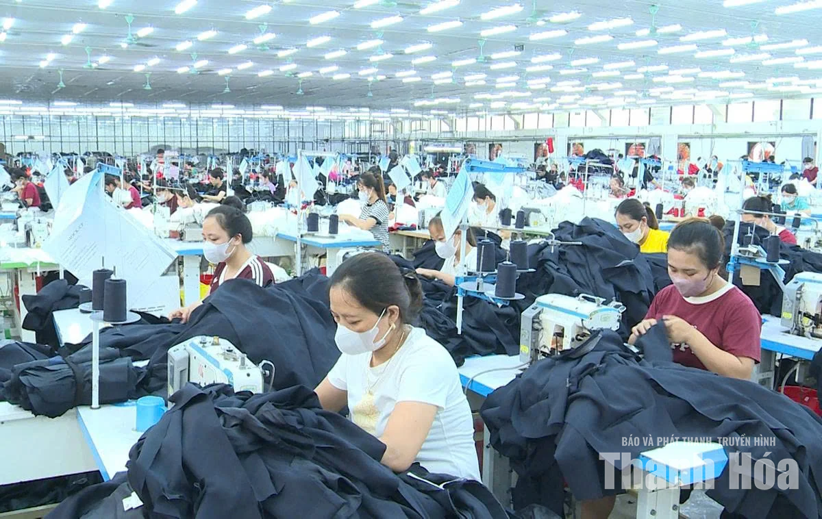 Phát triển doanh nghiệp 2026: Vượt kế hoạch, hướng tới nâng cao chất lượng