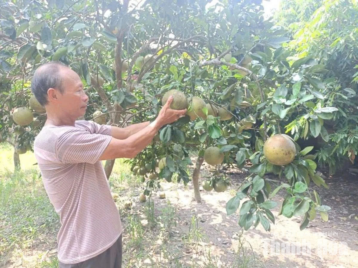 Tỏa sáng giữa đời thường