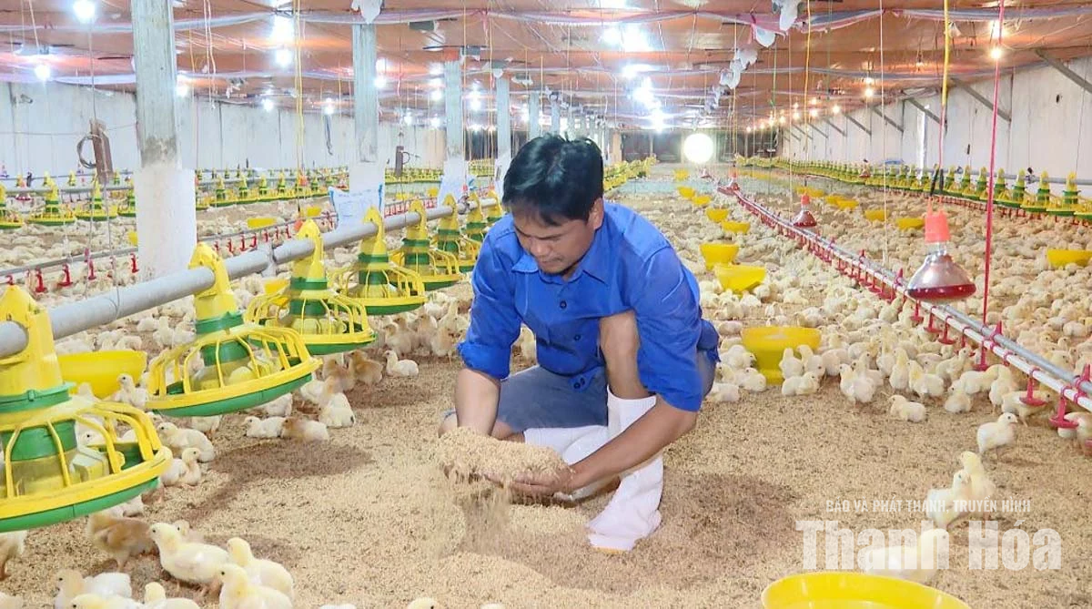 Chuyển đổi cơ cấu vật nuôi&nbsp;phù hợp với vùng khí hậu