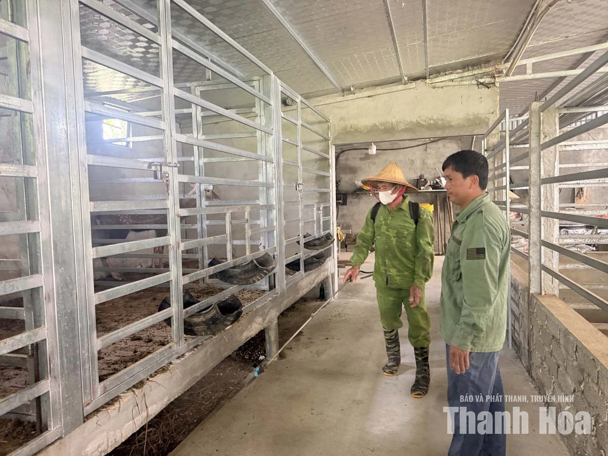 Tổng vệ sinh, tiêu độc phòng dịch bệnh vật nuôi