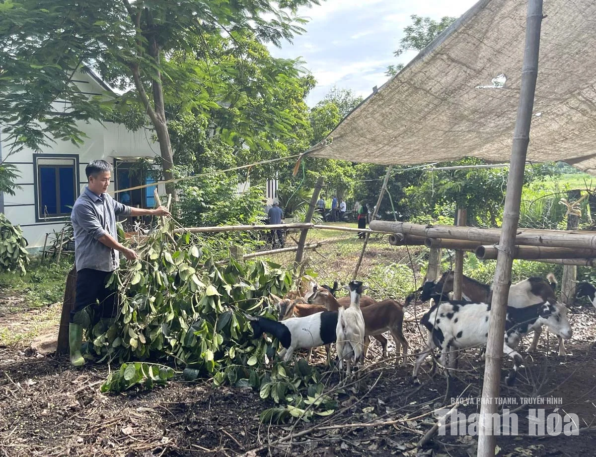 Vân Du đưa việc học và làm theo Bác&nbsp;đi vào chiều sâu
