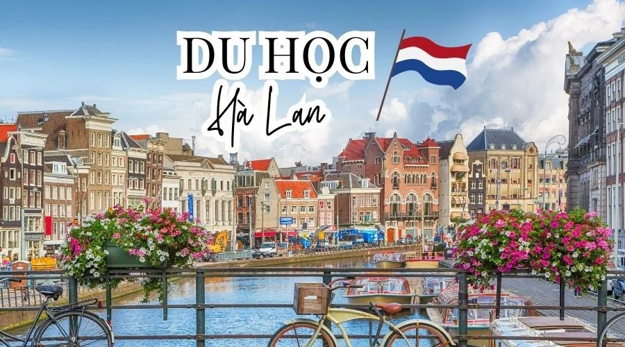 Tân Đại Dương - Bước đệm vững chắc để du học Hà Lan