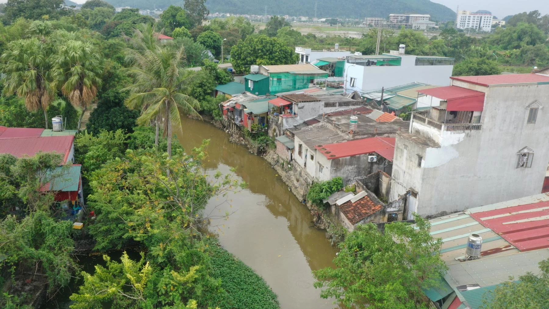 Kênh Nhà Lê - Dòng chảy nghìn năm tuổi đang bị... lãng quên