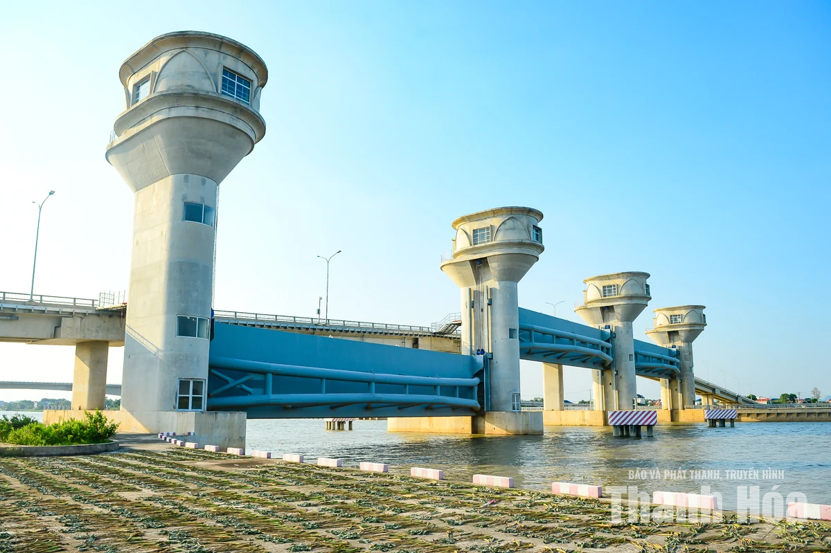 Toàn cảnh cầu cống ngăn mặn lớn nhất Thanh Hóa
