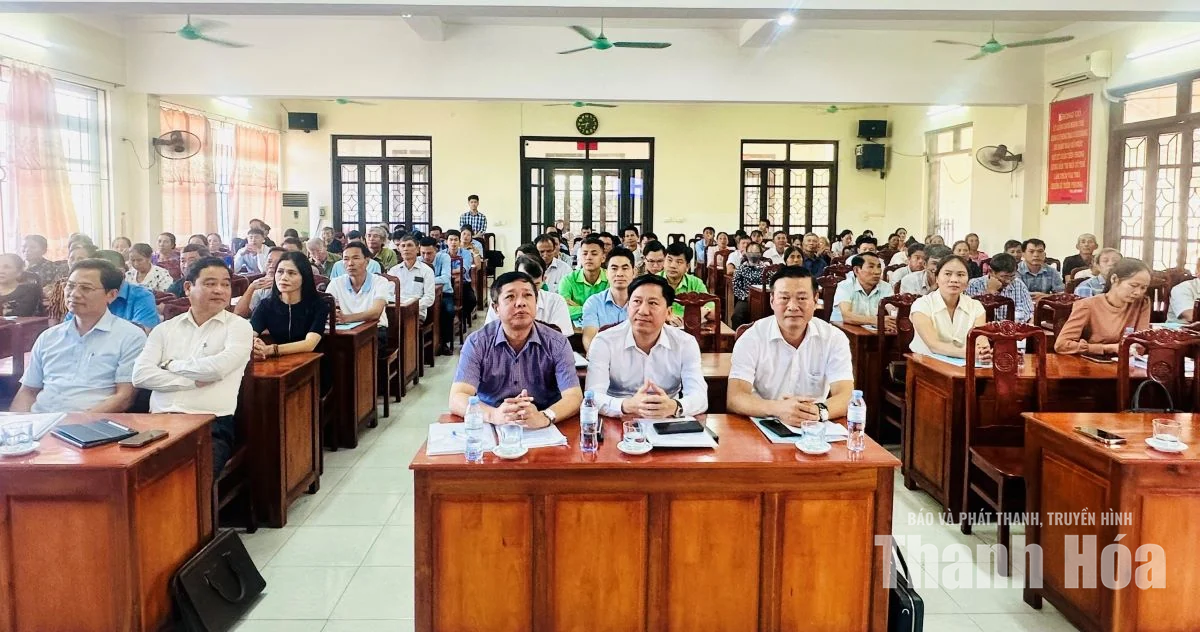 Phát triển chuỗi liên kết sản xuất, tiêu thụ khoai tây bền vững