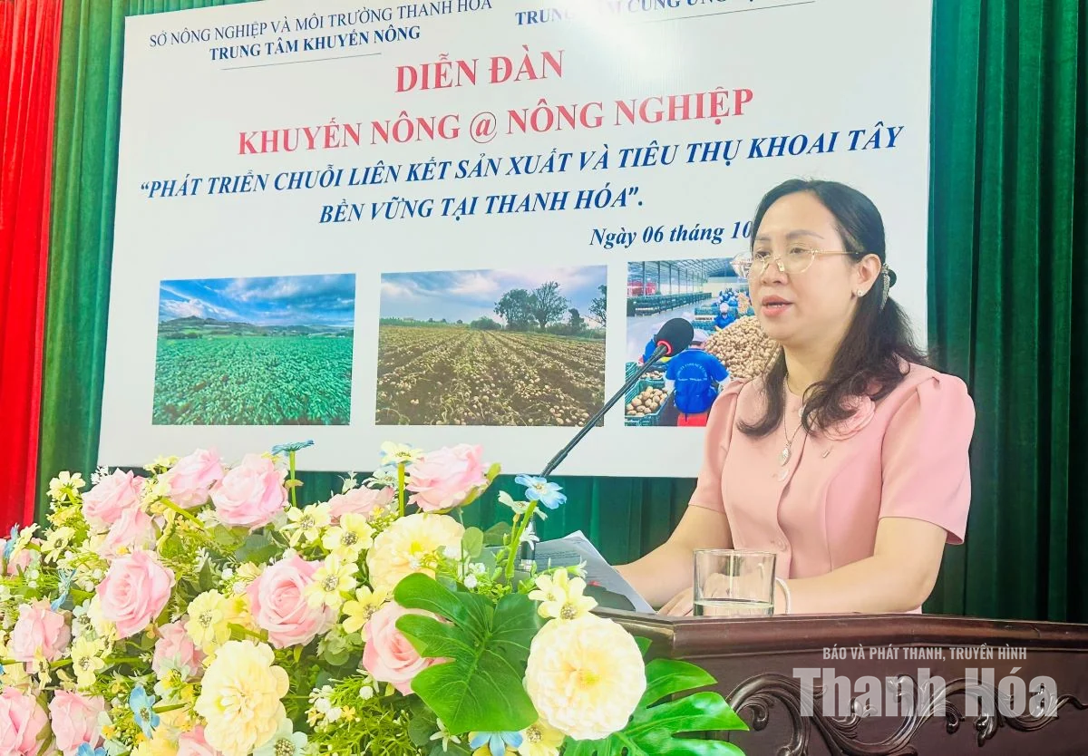 Phát triển chuỗi liên kết sản xuất, tiêu thụ khoai tây bền vững