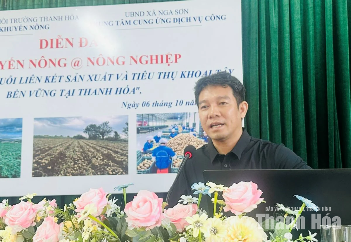 Phát triển chuỗi liên kết sản xuất, tiêu thụ khoai tây bền vững