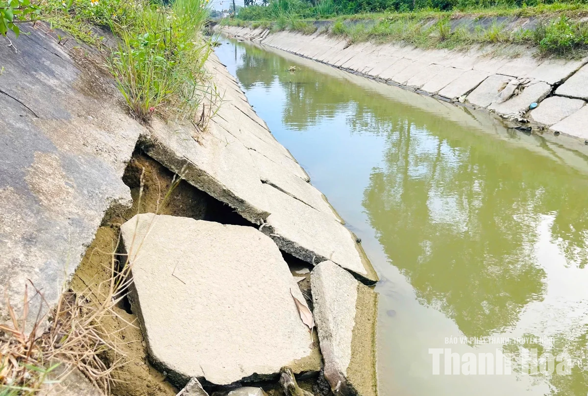 Kênh tưới phường Đông Quang đang xuống cấp nghiêm trọng