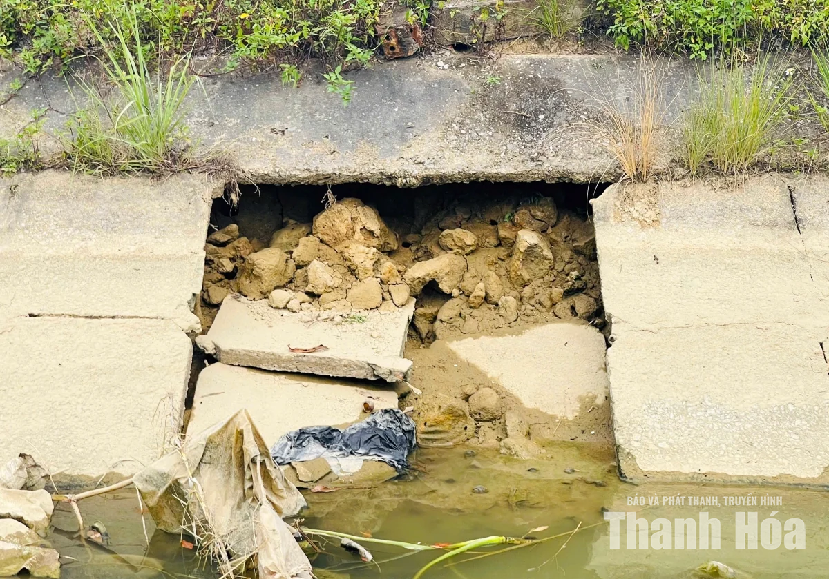 Kênh tưới phường Đông Quang đang xuống cấp nghiêm trọng