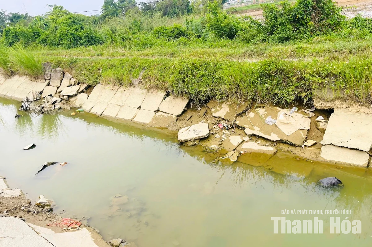 Kênh tưới phường Đông Quang đang xuống cấp nghiêm trọng