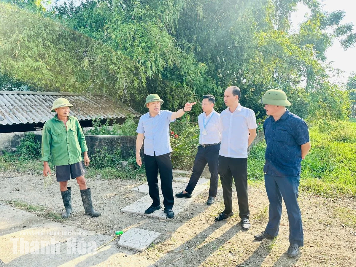 Khẩn trương khơi thông dòng chảy, hạn chế ngập úng tại các khu dân cư