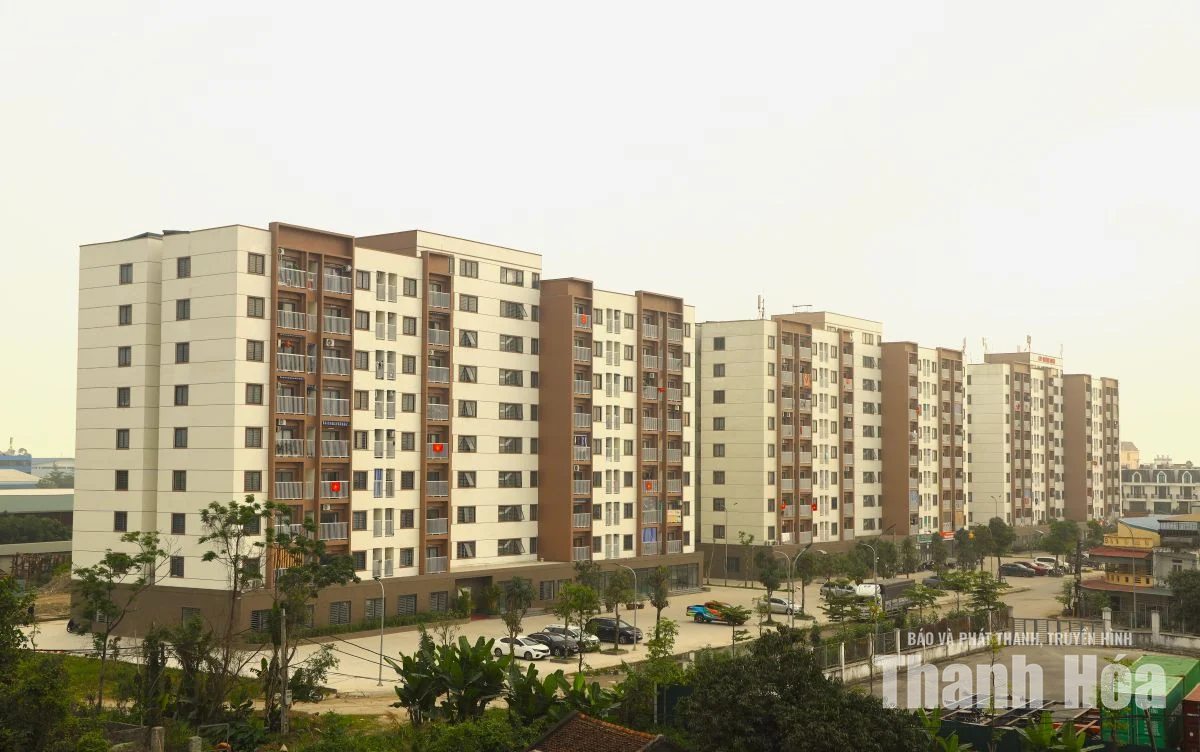 Thanh Hóa được giao chỉ tiêu phát triển 6.250 căn nhà ở xã hội, nhà ở cho thuê