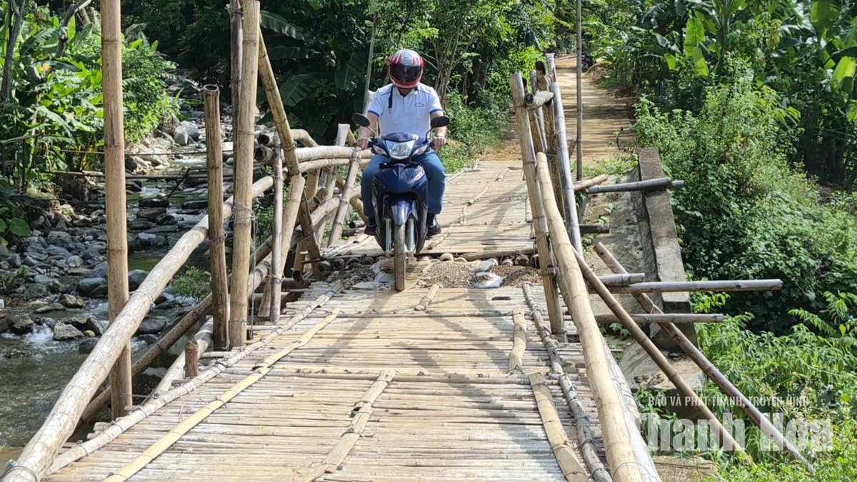 Cận cảnh cây cầu tạm bằng tre, luồng thay thế cầu cứng bị lũ cuốn trôi