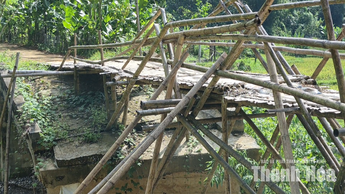 Cận cảnh cây cầu tạm bằng tre, luồng thay thế cầu cứng bị lũ cuốn trôi