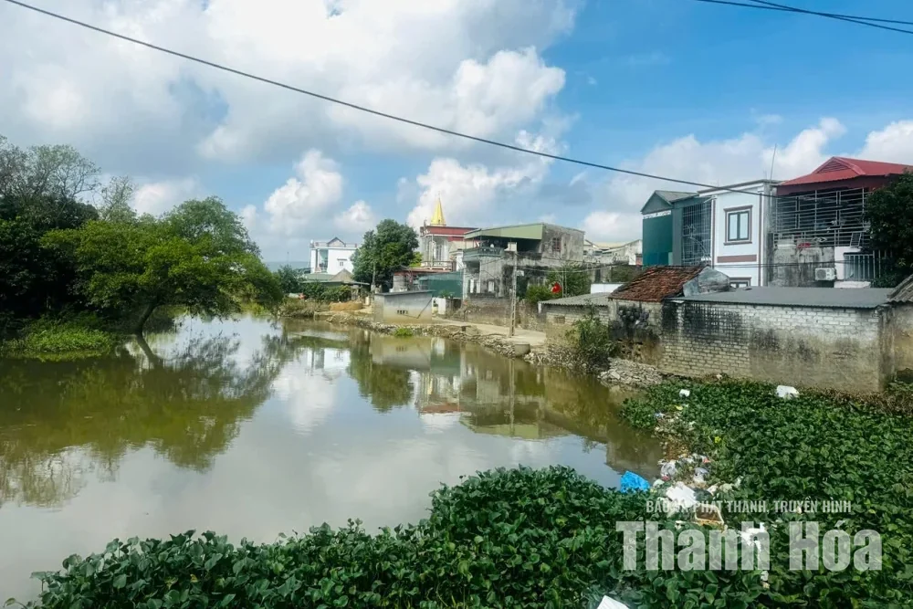 Chậm xử lý vi phạm hành lang thoát lũ, công trình thủy lợi
