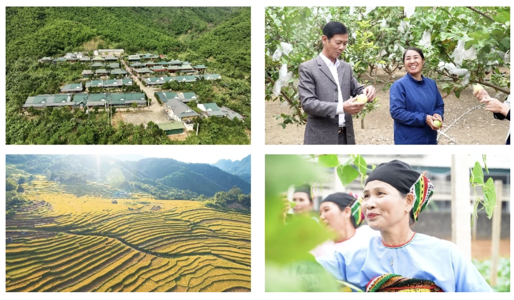 Đổi mới tuyên truyền, tạo đồng thuận để các chương trình mục tiêu quốc gia đi vào cuộc sống