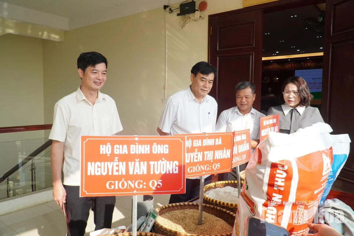 Truyền thông dự án và ra mắt Chi hội nông dân canh tác lúa