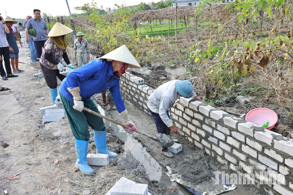 Xã Lưu Vệ huy động 322 tỷ đồng xây dựng nông thôn mới