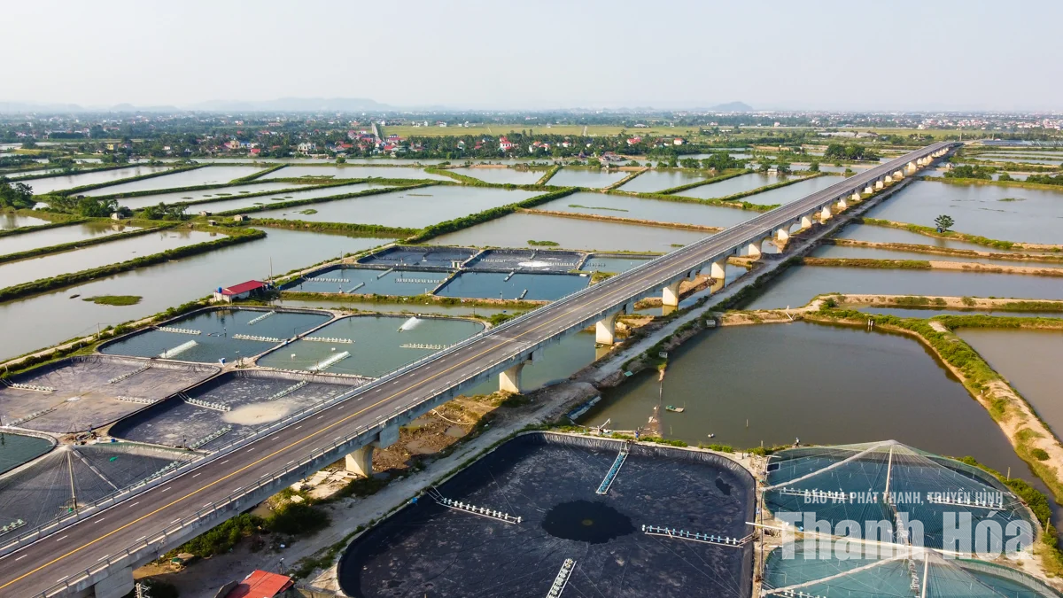 Toàn cảnh cây cầu vượt dài nhất tuyến đường ven biển Thanh Hóa