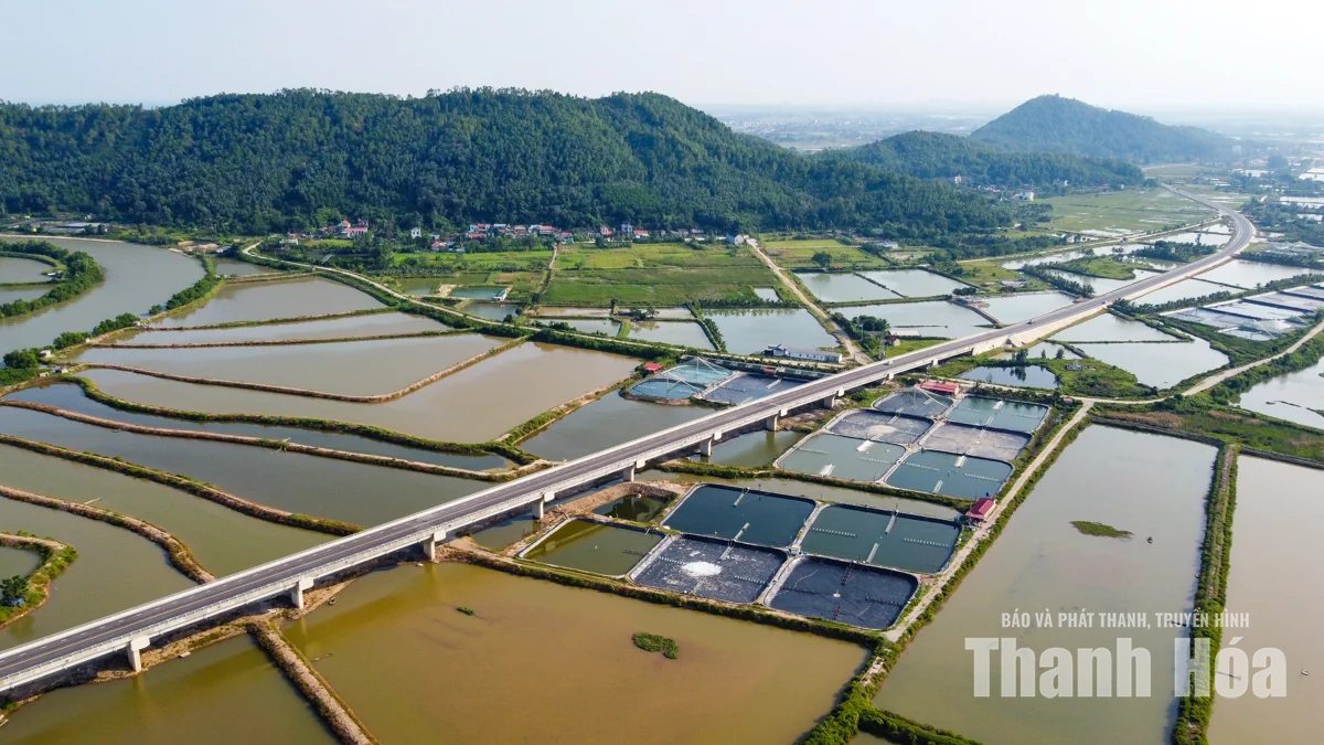 Toàn cảnh cây cầu vượt dài nhất tuyến đường ven biển Thanh Hóa
